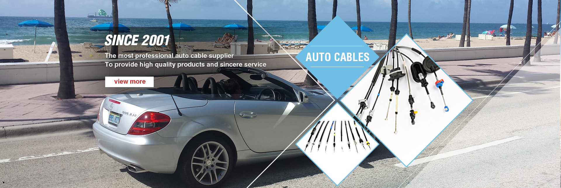 Professional Auto Cable Supplier